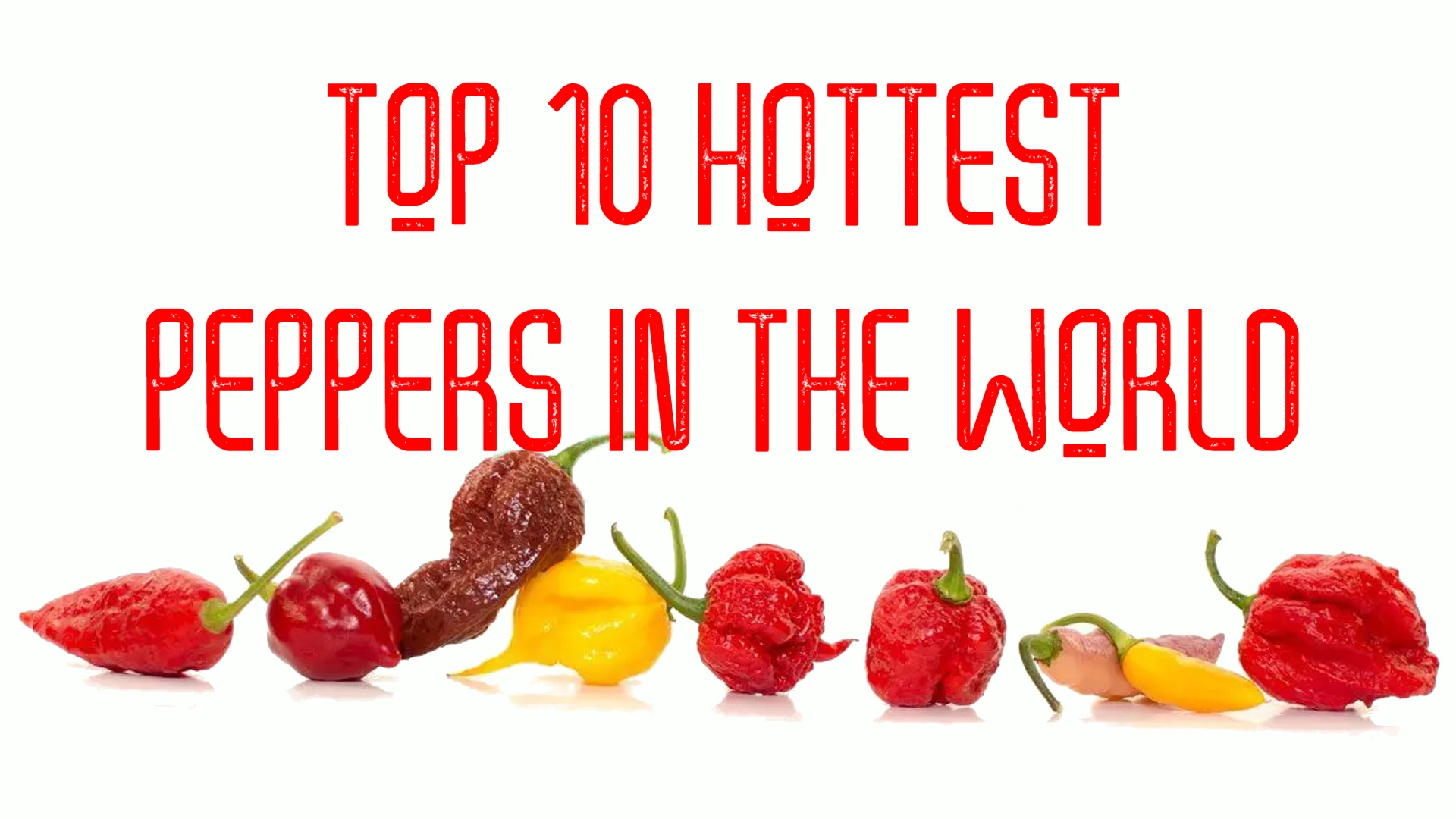 Top 10 Hottest Peppers In The World