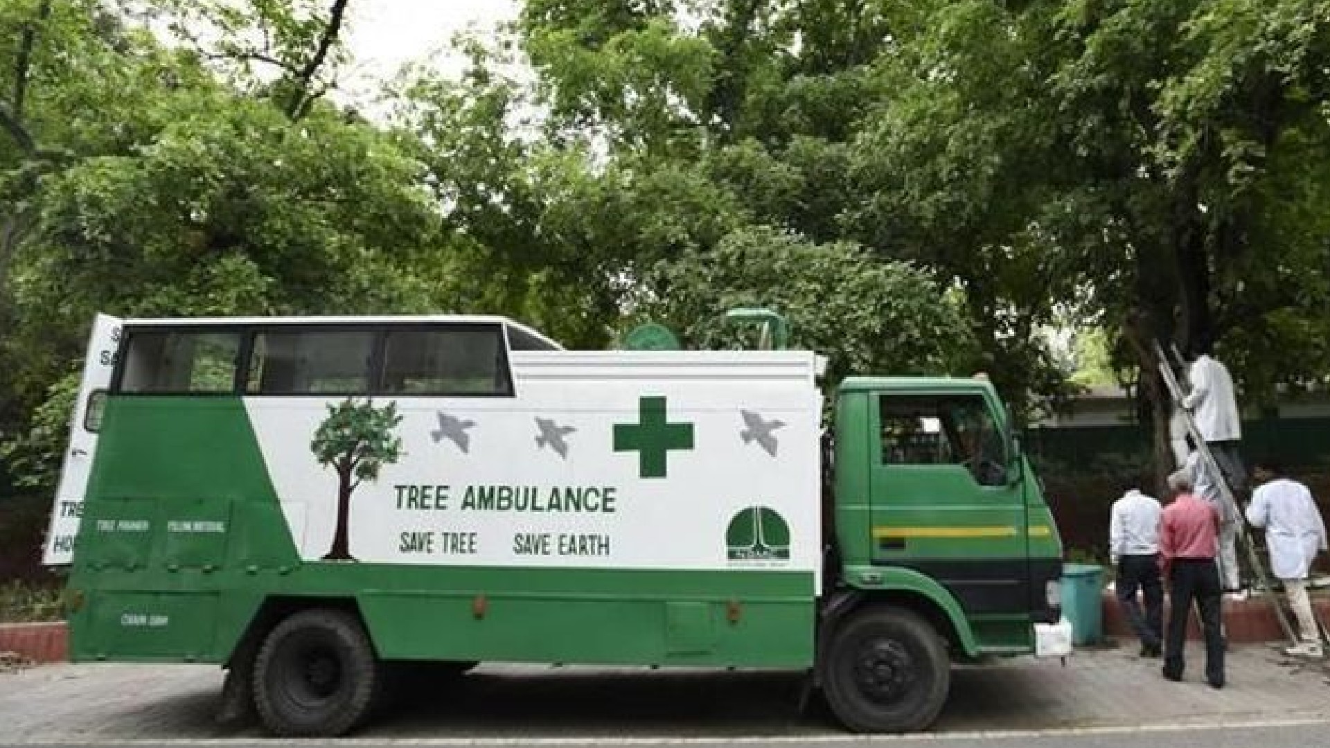 Amristar Has A Tree Ambulance & Clinic Service To Cure Unhealthy Plants & Trees