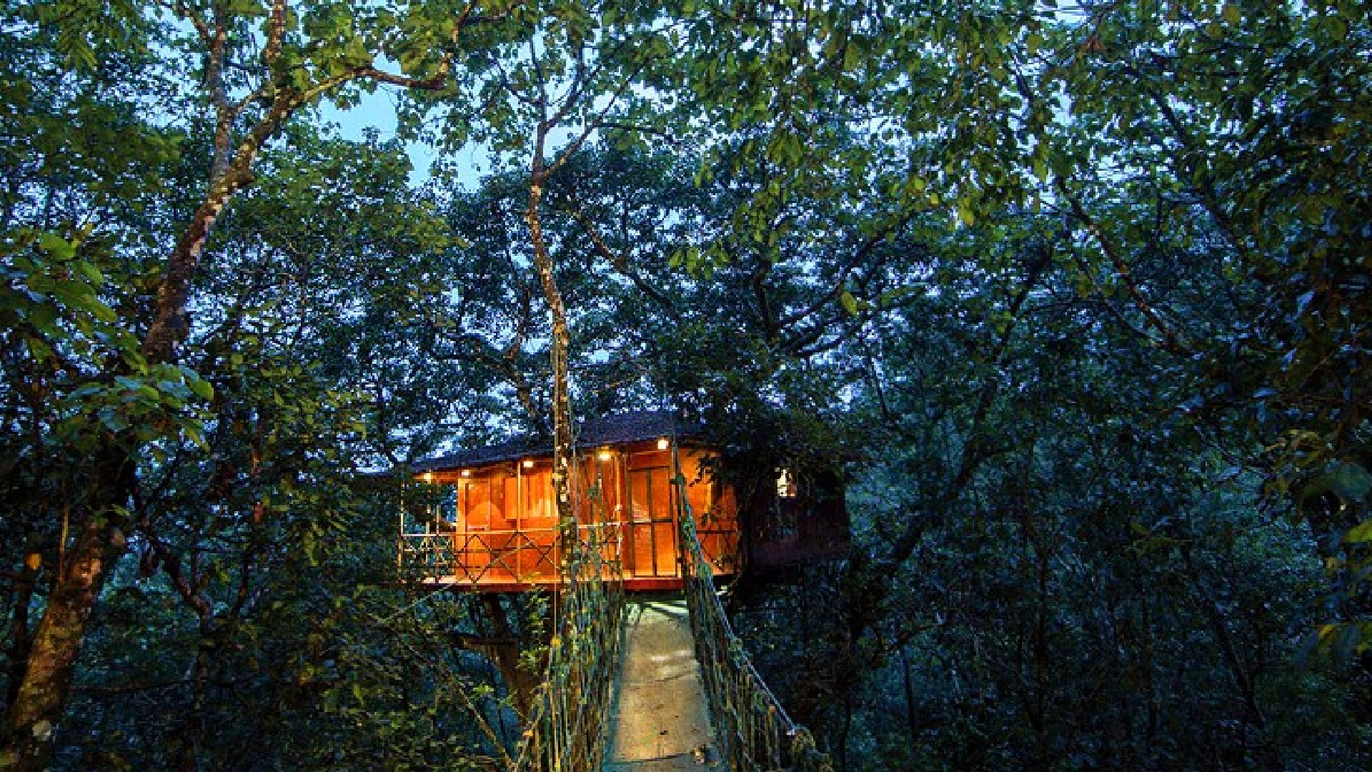 This Tree House In Kerala Is In The Middle Of A Jungle & Is Surrounded By Streams