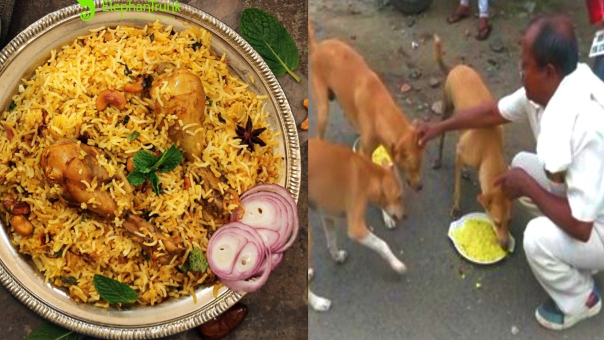 This Nagpur Man Has Been Feeding Chicken Biryani To Stray Dogs Since COVID-19 Pandemic Hit India