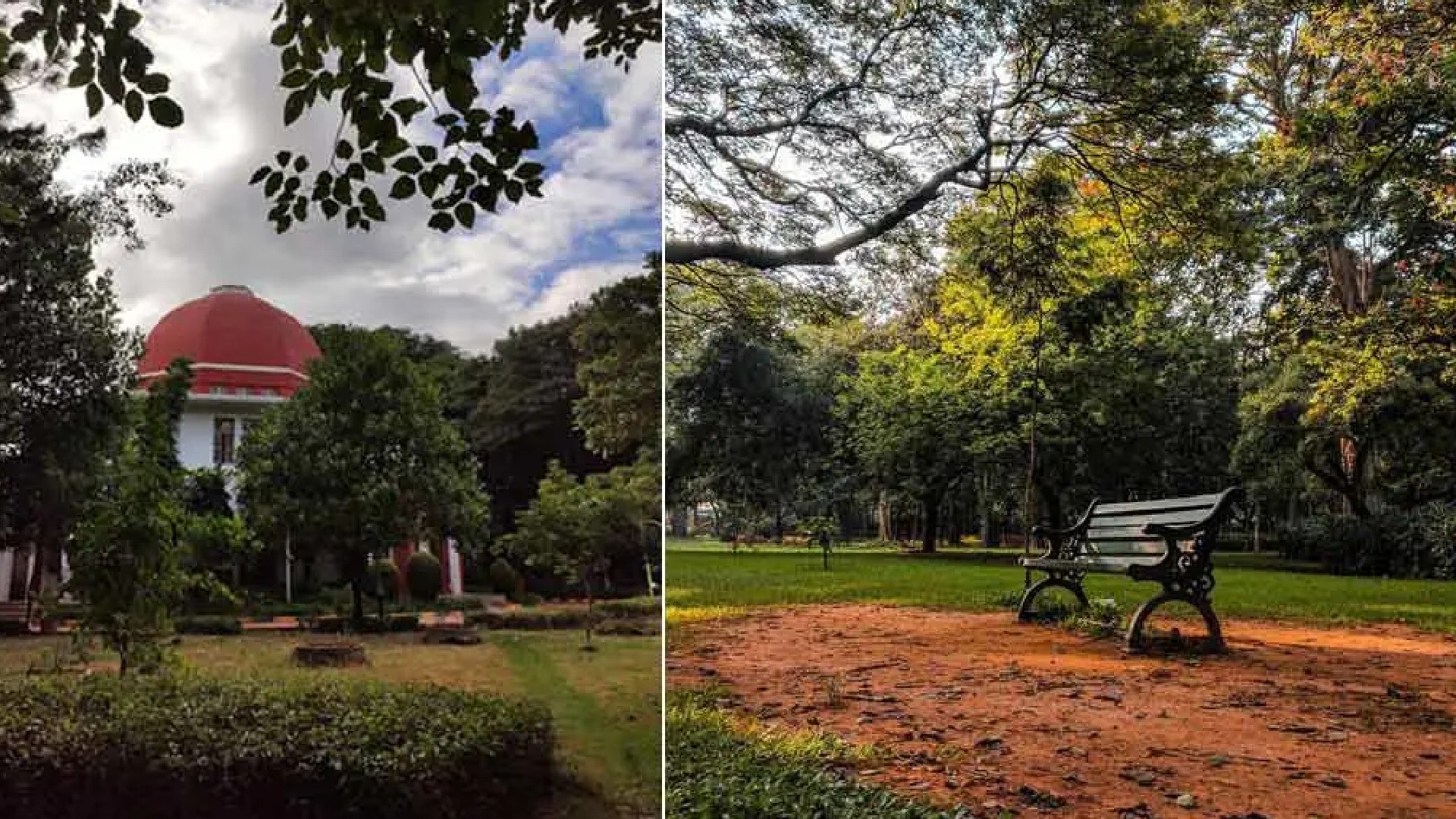 6 Green Spaces In Bangalore To Escape The City Chaos