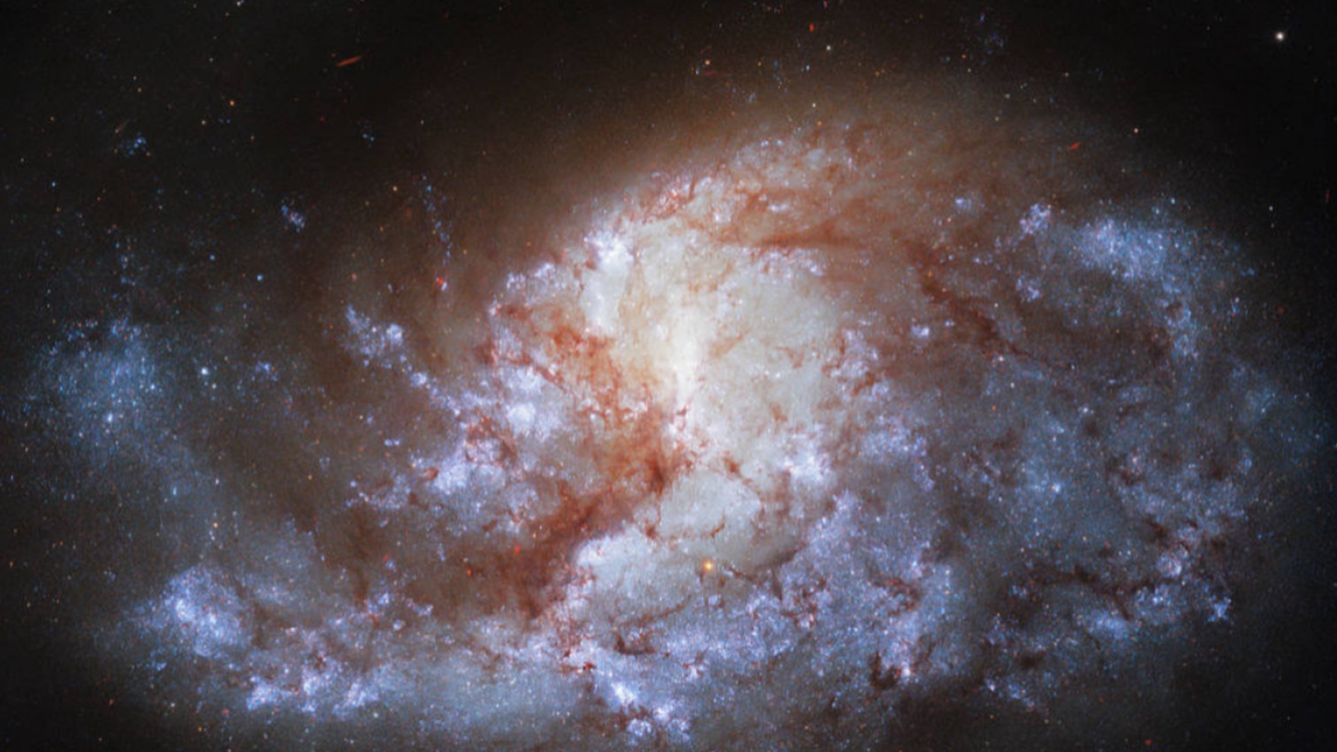Hubble Catches a Brilliant Picture of a Vivid Spiral Galaxy.