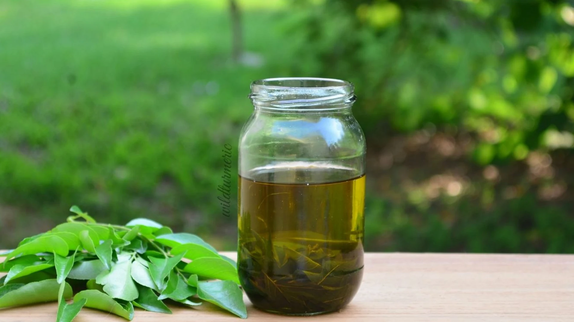 Top 9 Uses Of Curry Leaves In Hair Growth