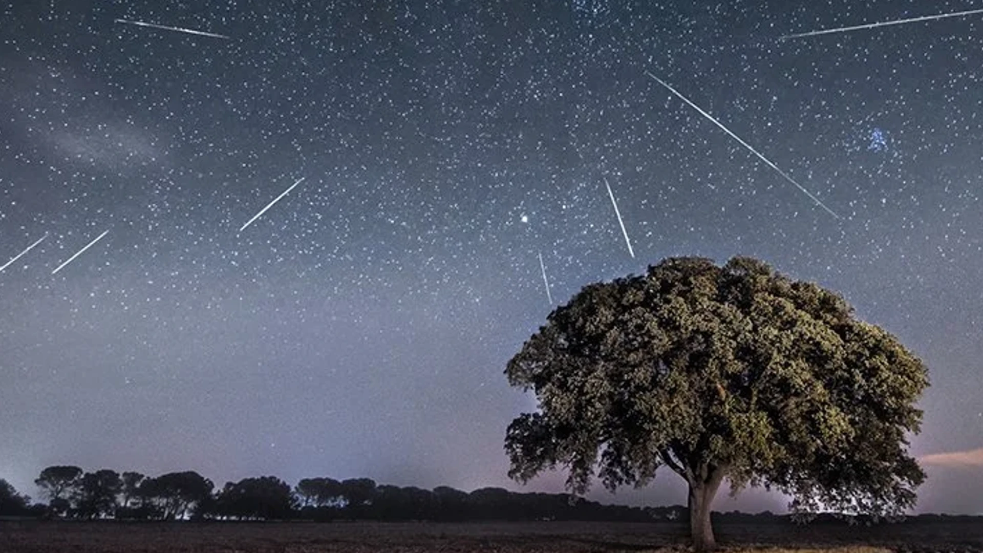 Two Meteor’s Showers Will Take Place On May 5th And May 30th, Here’s What You Need To Know