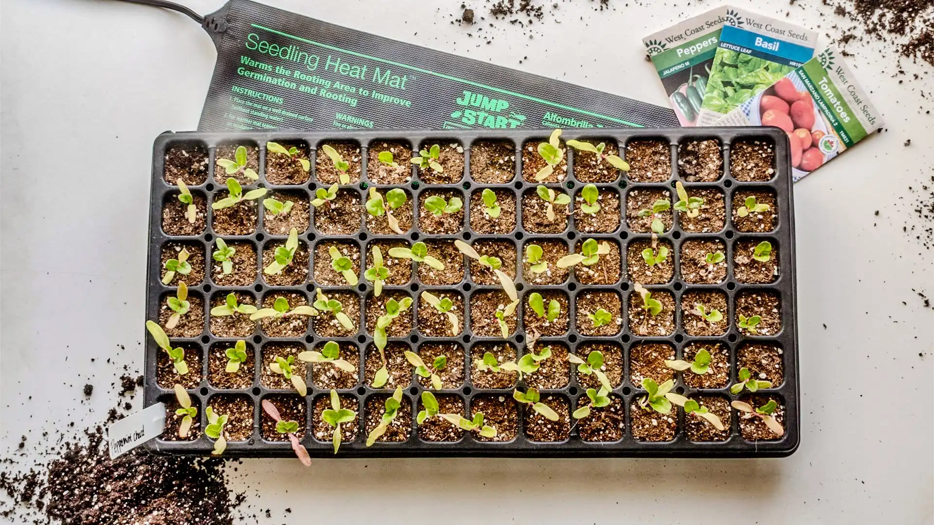 Seedling Heat Mats: How To Use A Heat Mat For Plants