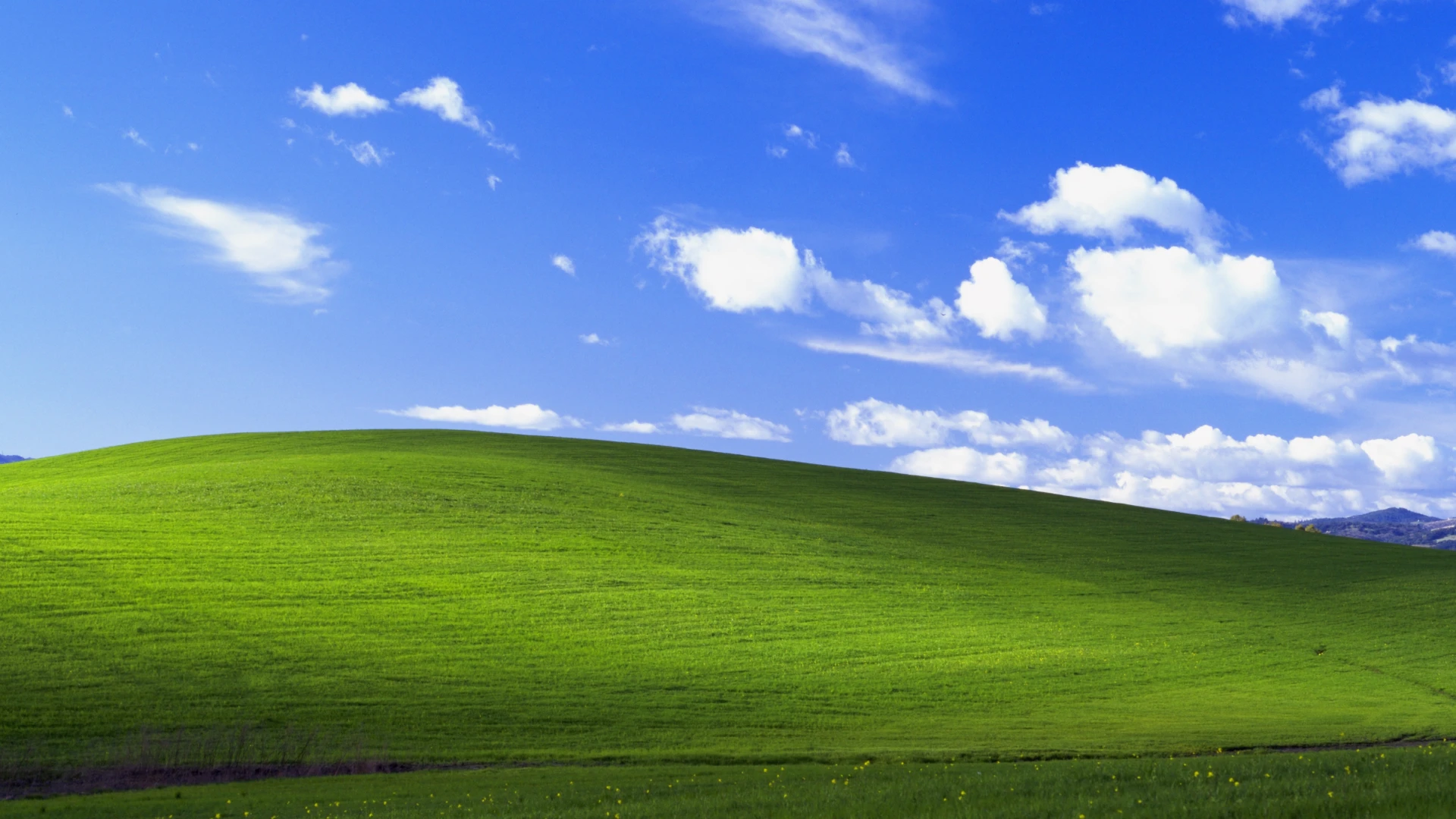 Windows XP’s iconic ‘Bliss’ wallpaper was clicked on a road trip. What Microsoft paid for it